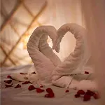 Vakantiewoning In Monumentale Boerderij Met Yurt Hébergement de vacances Eckelrade