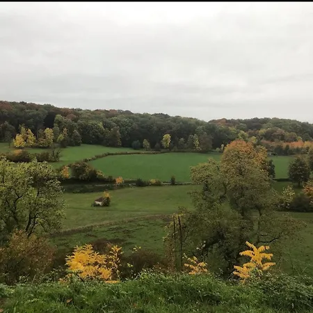 Vakantiewoning In Monumentale Boerderij Met Yurt Eckelrade