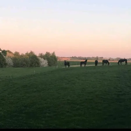 Vakantiewoning In Monumentale Boerderij Met Yurt