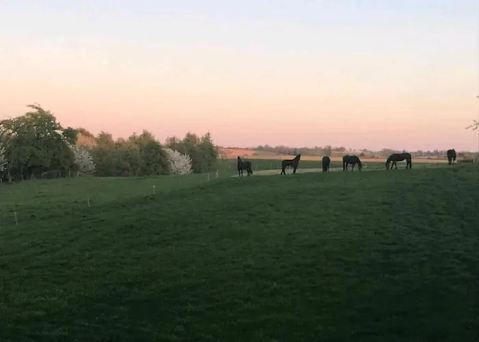 Vakantiewoning In Monumentale Boerderij Met Yurt