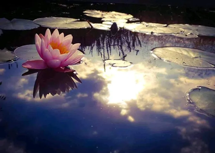 Vakantiewoning In Monumentale Boerderij Met Yurt